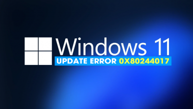 How to Fix Windows Update error 0x80244017 on Windows 11.